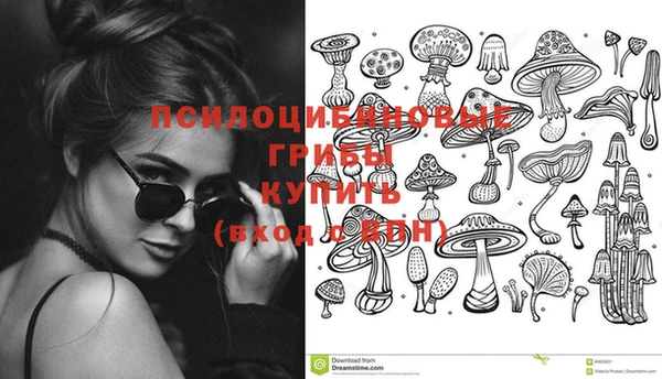 спайс Алексеевка